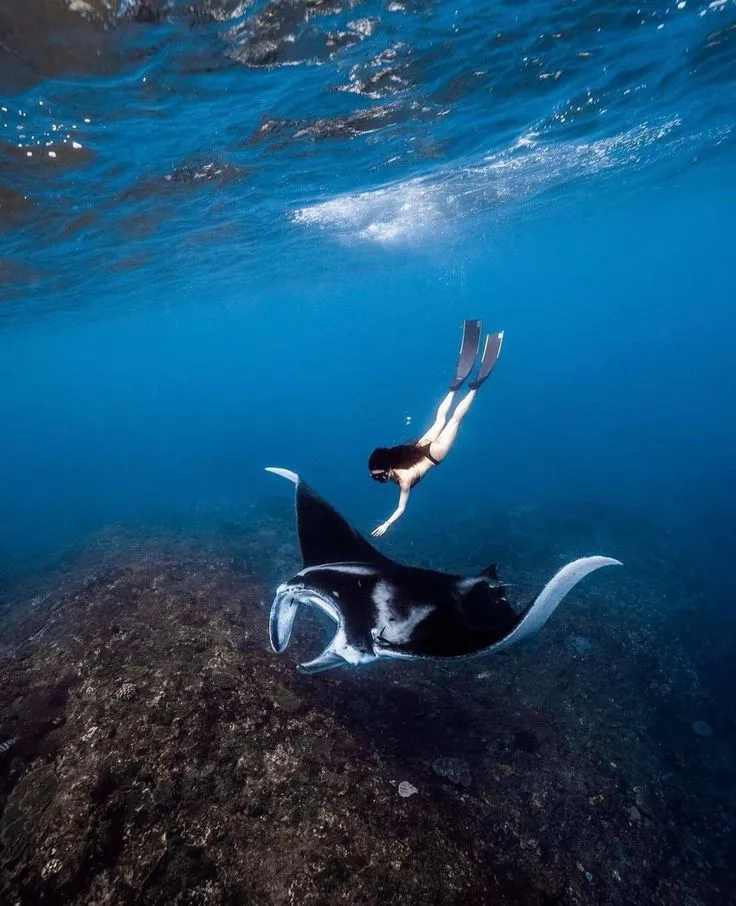 Nusa Penida West & Snorkeling Tour